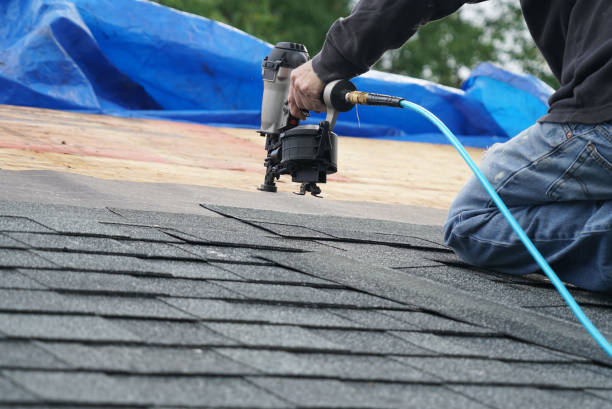 Best Rubber Roofing (EPDM, TPO)  in Forestville, OH